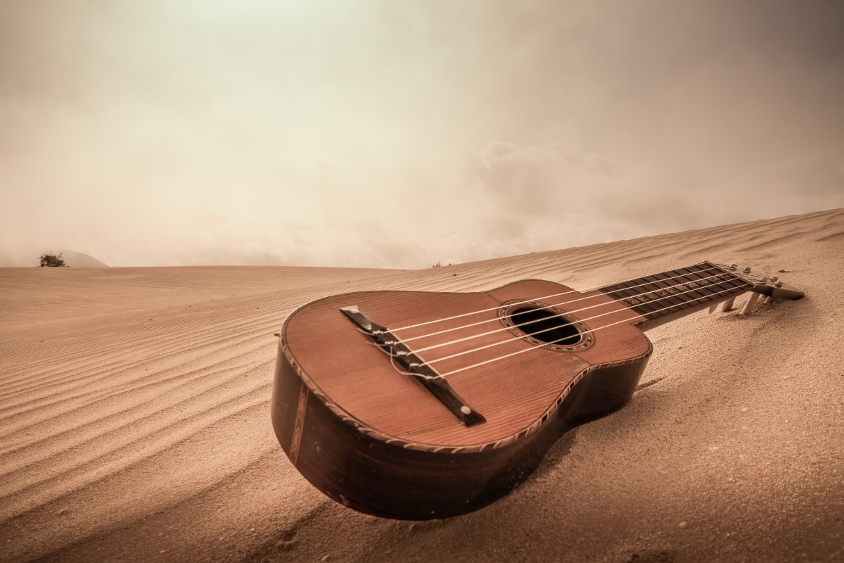 Echoes of the Past: Traditional Music of the Sahara