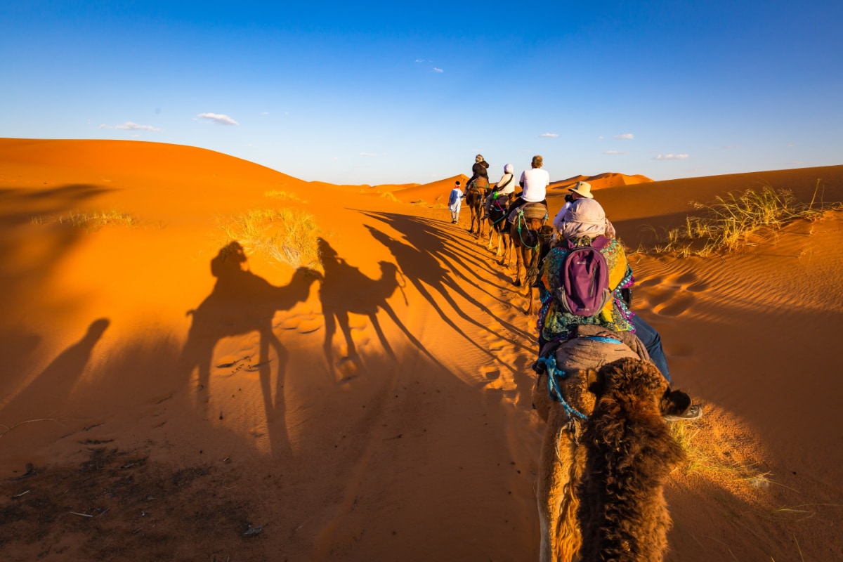 Exploring the Mystical Oases of the Sahara Desert