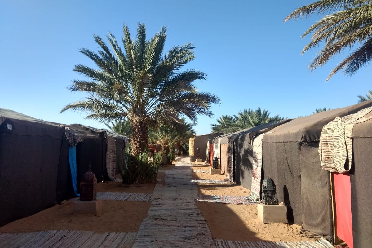 Luxurious Stays: The Rise of Glamping in Sahara Desert Camps