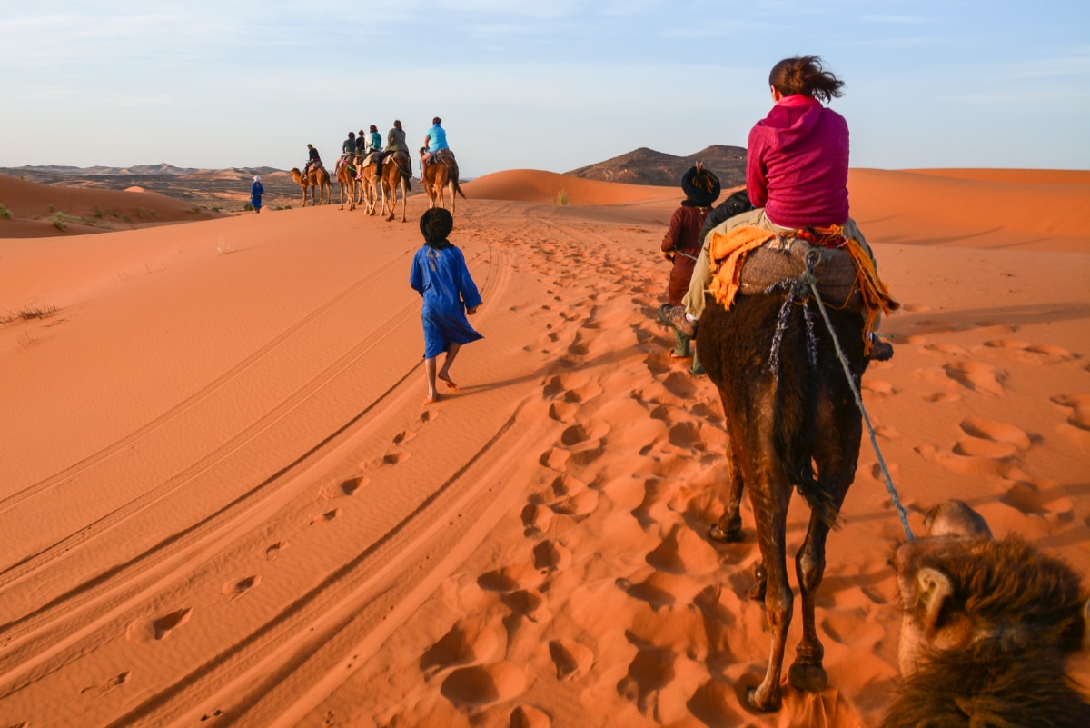 The Ultimate Guide to Camel Trekking in the Sahara
