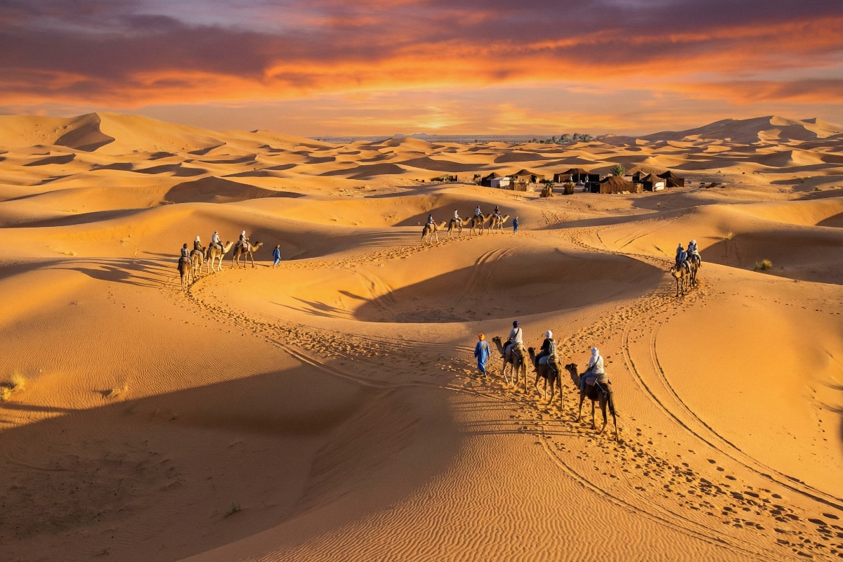 Top 5 Camel Trekking Routes in the Sahara Desert